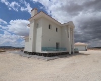 Nueva construcción  - Villa - Pinoso - Camino Del Prado