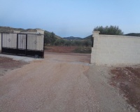Nueva construcción  - Villa - Pinoso - Camino Del Prado
