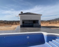 Nueva construcción  - Villa - Pinoso - Camino Del Prado