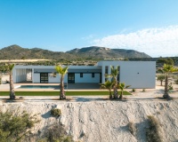 Nueva construcción  - Villa - Pinoso