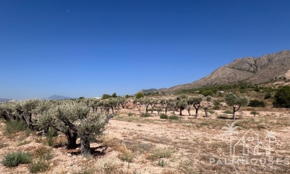 Plot - Herverkoop - Abanilla - Macisvenda
