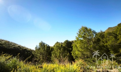 Plot - Herverkoop - Lorca - Lorca Centro
