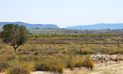 Plot - Herverkoop - San Miguel de Salinas - San Miguel de Salinas Centro