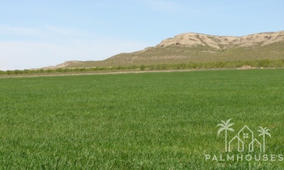 Plot - Herverkoop - Yecla - Yecla Centro