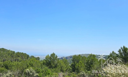 Plot - Resale - Benidoleig - Benidoleig