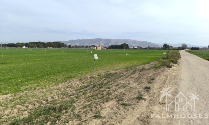 Plot - Resale - Villena - Villena Centro