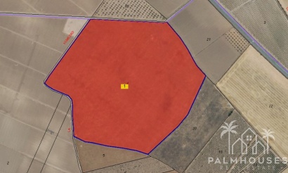 Plot - Resale - Yecla - Yecla Centro