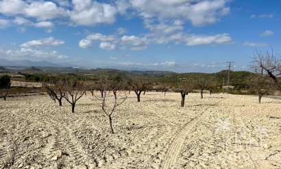 Plot - Revente - Bullas - Costa Calida