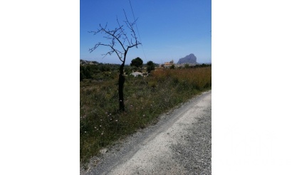 Plot - Revente - Calpe - Calpe Centro
