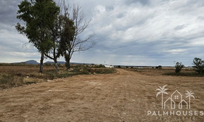 Plot - Venta - Murcia - Sucina