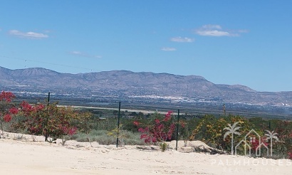 Plot - Venta - San Fulgencio - La Marina