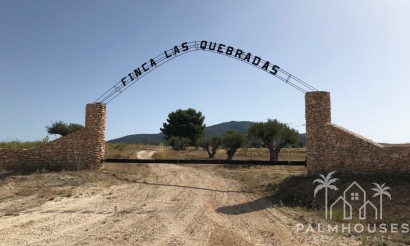 Plot - Venta - Yecla - Yecla Centro