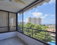 Resale - Apartments - Alicante City - Alicante City Centro