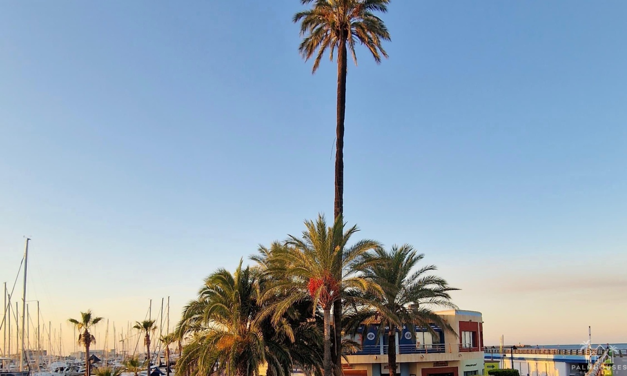 Resale - Apartments - Denia - Costa Blanca
