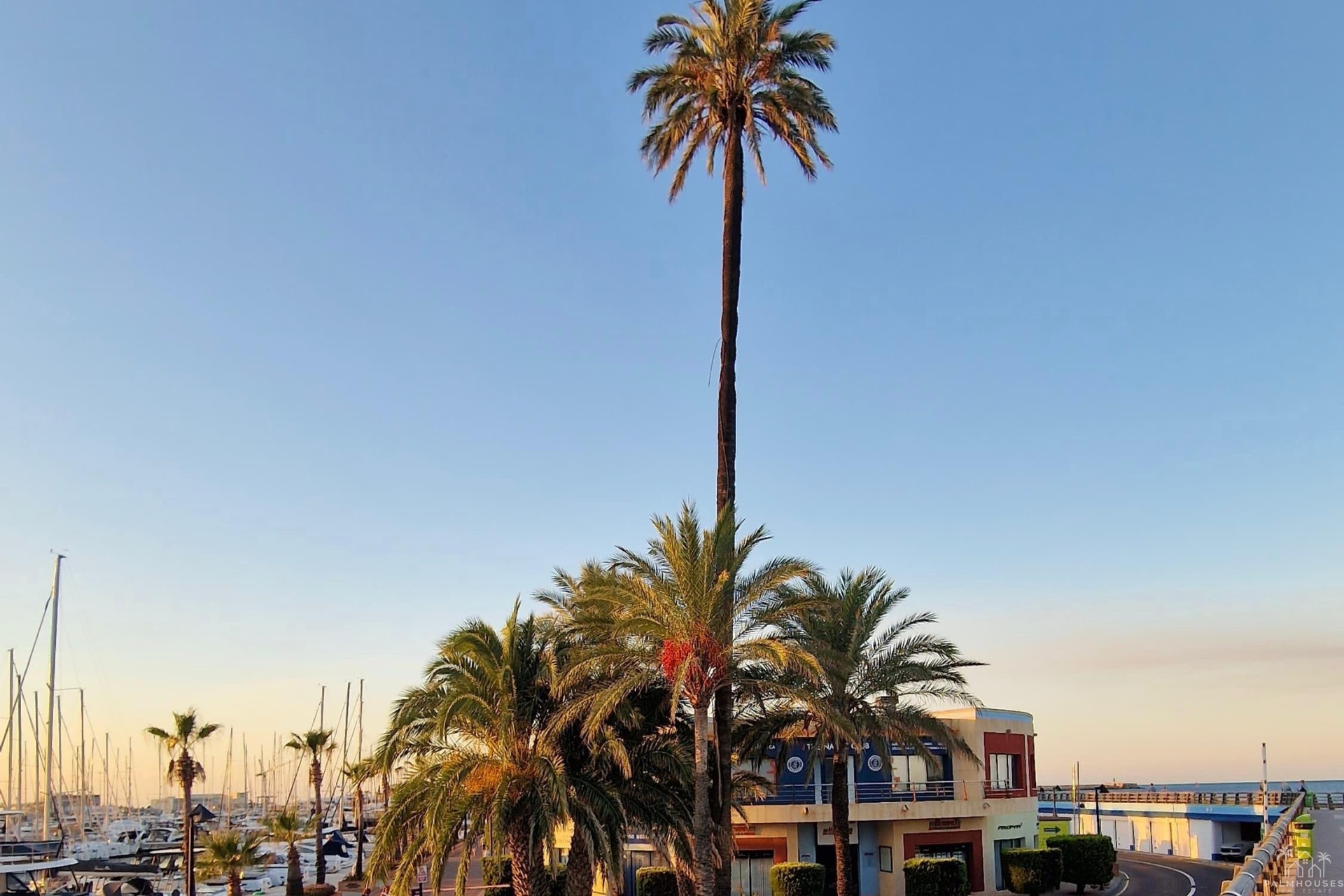 Resale - Apartments - Denia - Costa Blanca