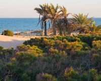Resale - Apartments - Guardamar del Segura - Costa Blanca
