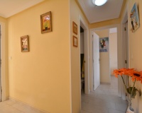 Resale - Apartments - Guardamar del Segura - Costa Blanca