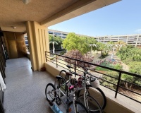 Resale - Apartments - Guardamar del Segura - Guardamar del Segura Centro