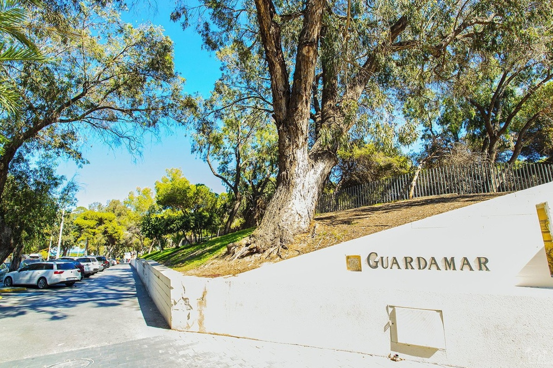 Resale - Apartments - Guardamar del Segura - Guardamar del Segura Centro
