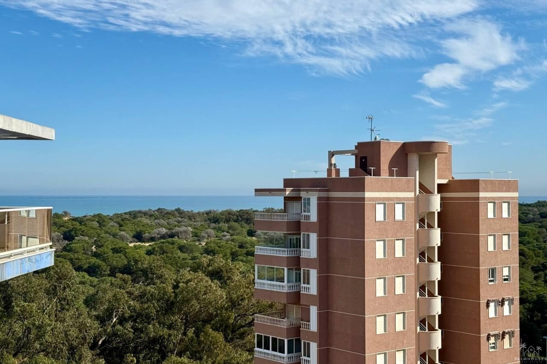 Resale - Apartments - Guardamar del Segura - Puerto