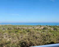 Resale - Apartments - Guardamar del Segura - Puerto