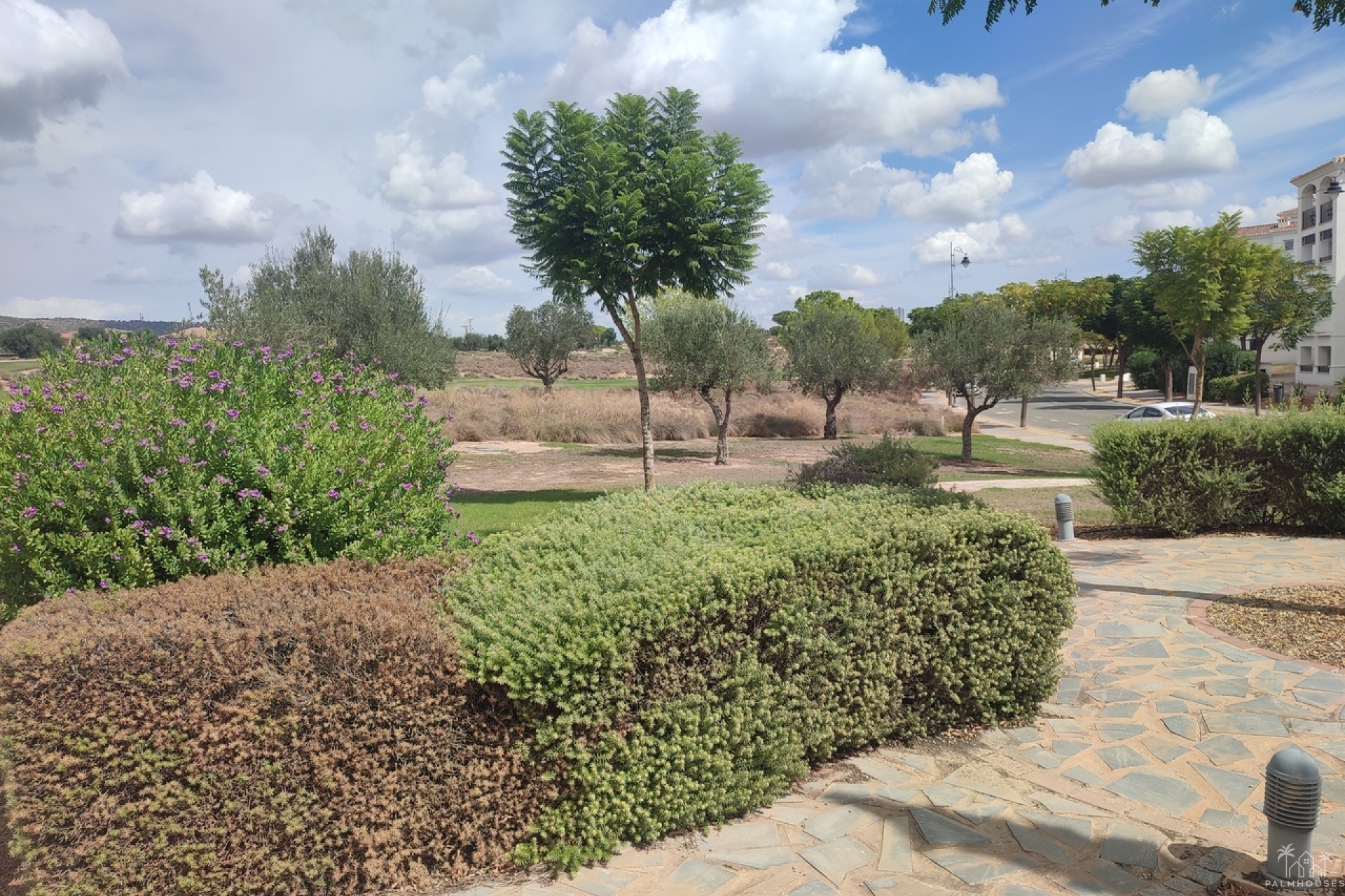 Resale - Apartments - Hacienda Riquelme Golf Resort - Inland