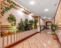 Resale - Apartments - La Mata - Playa