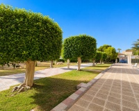 Resale - Apartments - La Zenia - Costa Blanca