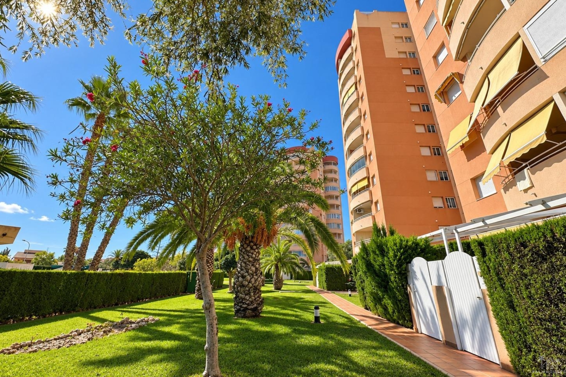 Resale - Apartments - Orihuela Costa - Campoamor