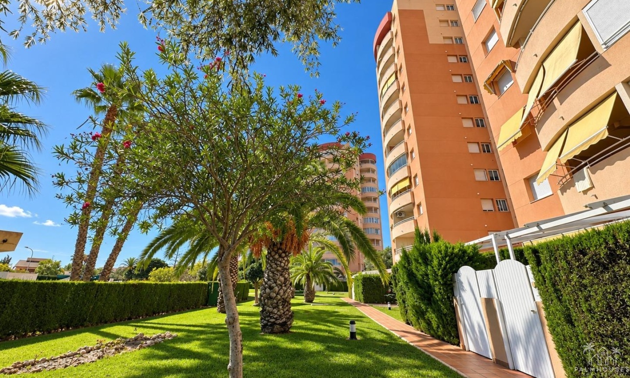 Resale - Apartments - Orihuela Costa - Campoamor