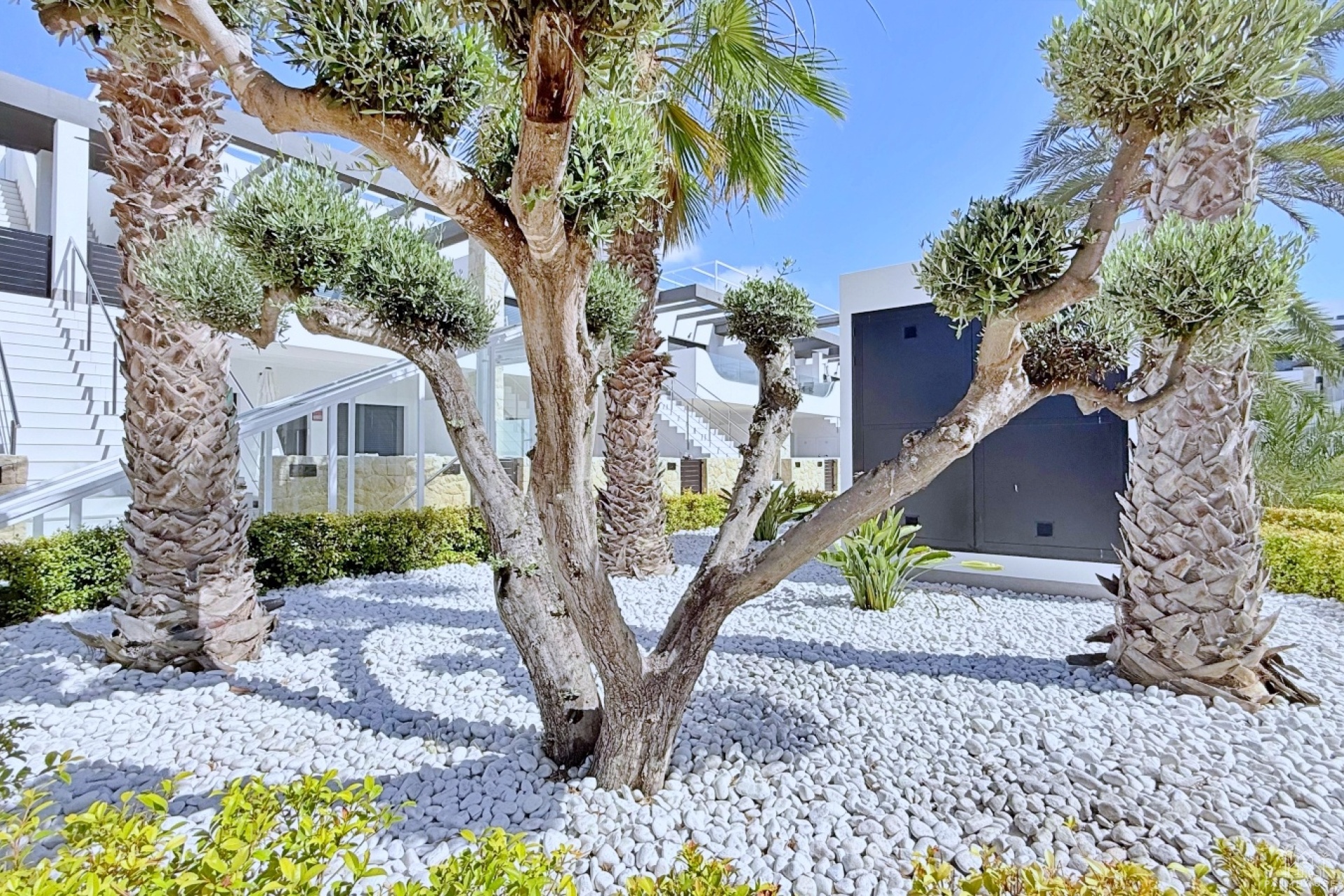 Resale - Apartments - Orihuela Costa - Costa Blanca