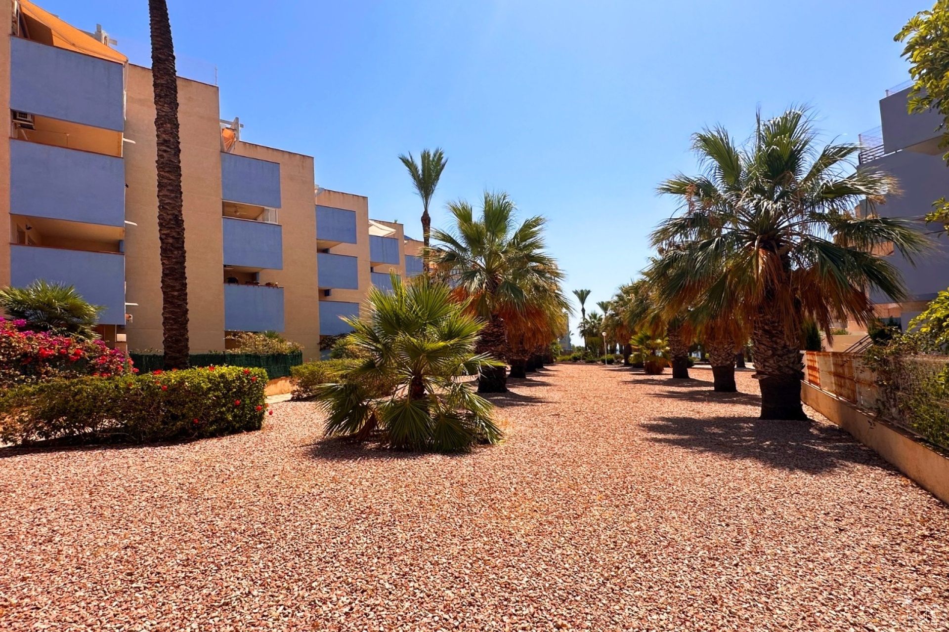 Resale - Apartments - Orihuela Costa - Costa Blanca