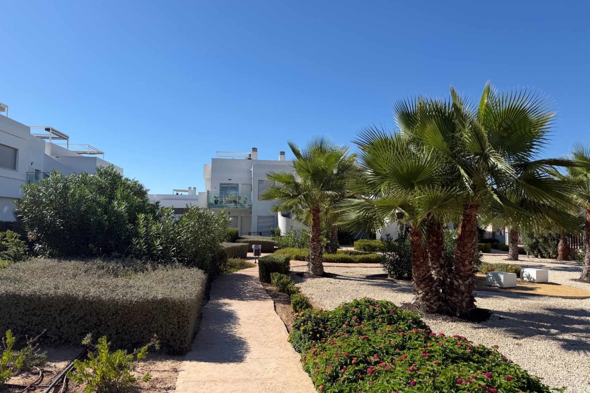 Resale - Apartments - Orihuela Costa - Costa Blanca