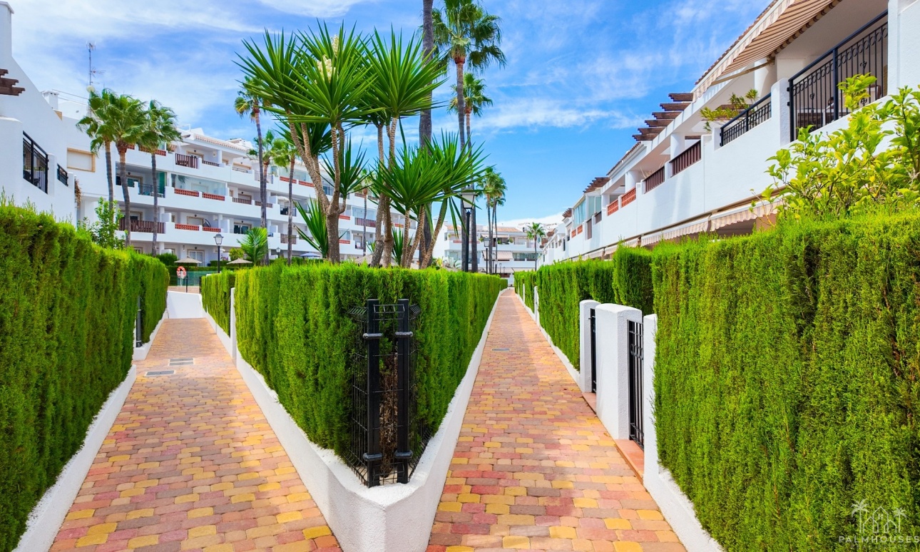 Resale - Apartments - Orihuela Costa - Costa Blanca
