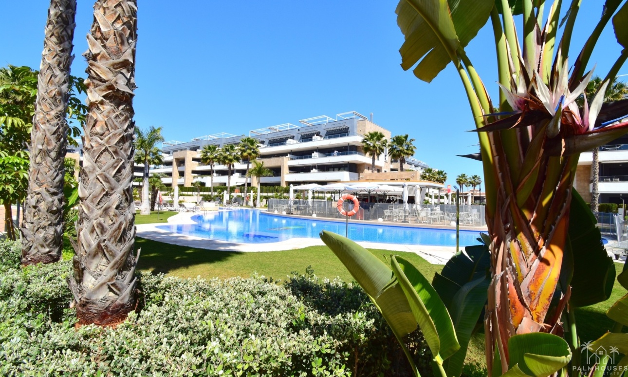 Resale - Apartments - Orihuela Costa - Playa Flamenca