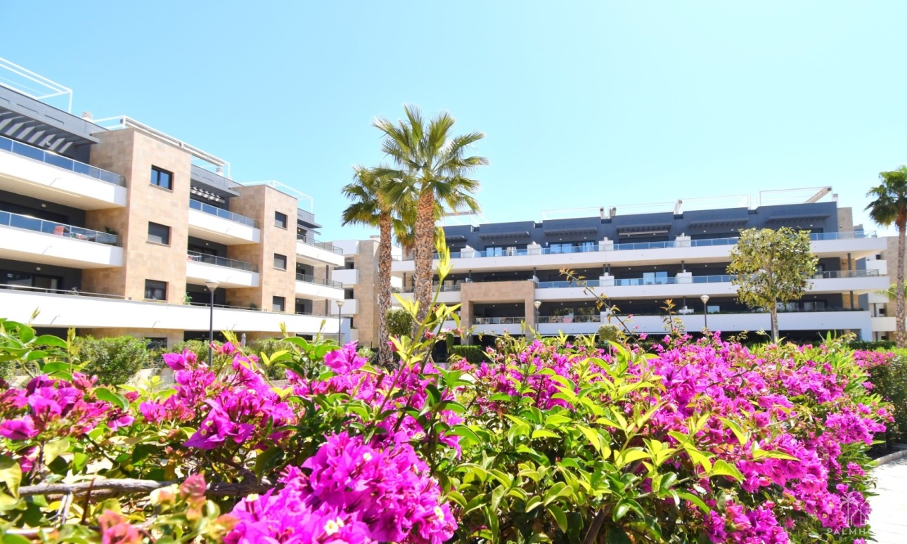 Resale - Apartments - Orihuela Costa - Playa Flamenca