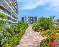 Resale - Apartments - Orihuela Costa - Punta Prima