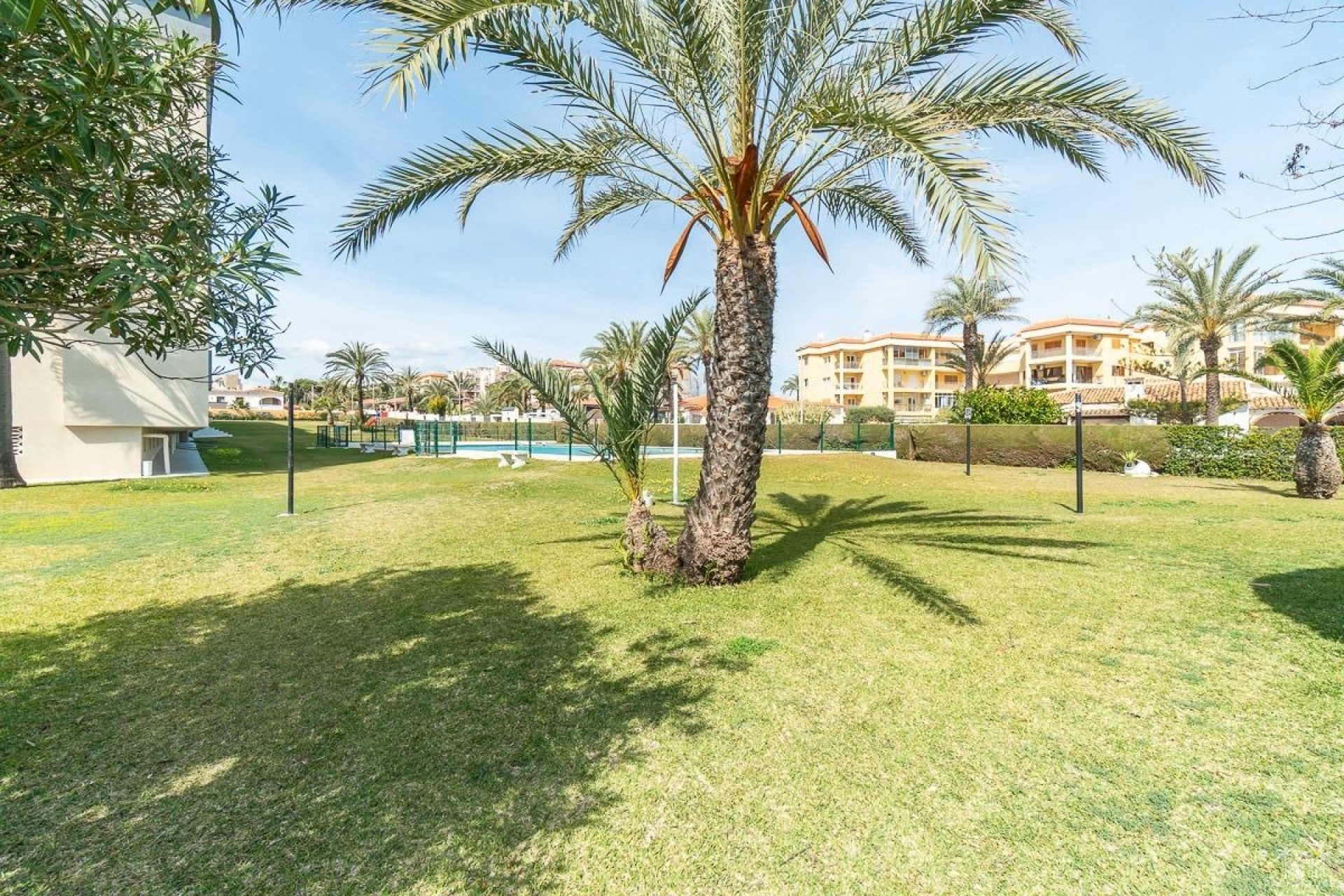 Resale - Apartments - Orihuela Costa - Rocio del mar