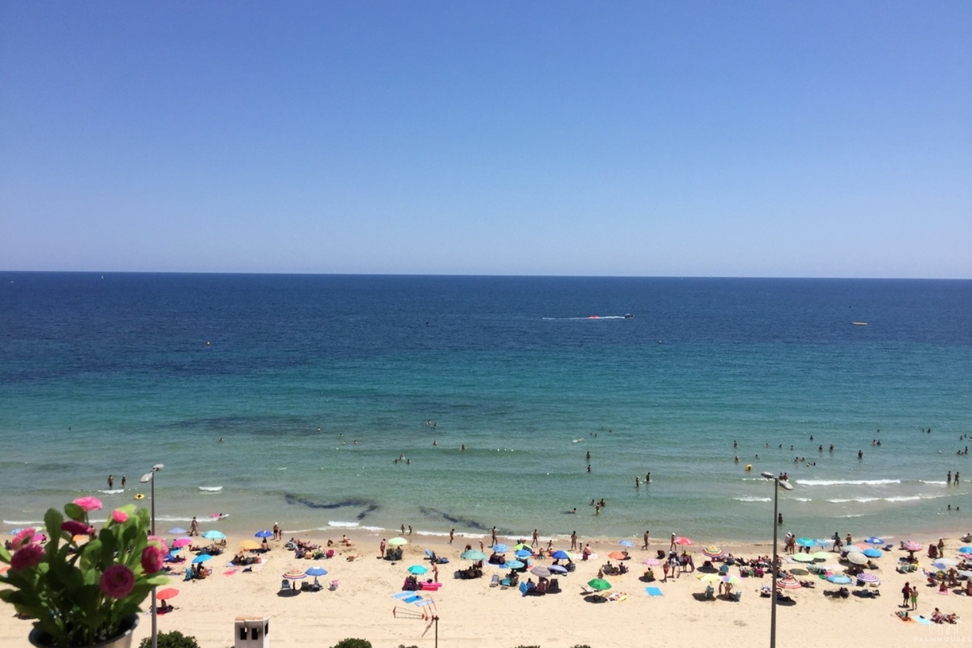 Resale - Apartments - Orihuela - Mil Palmeras