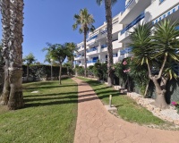 Resale - Apartments - Orihuela - Playa Flamenca