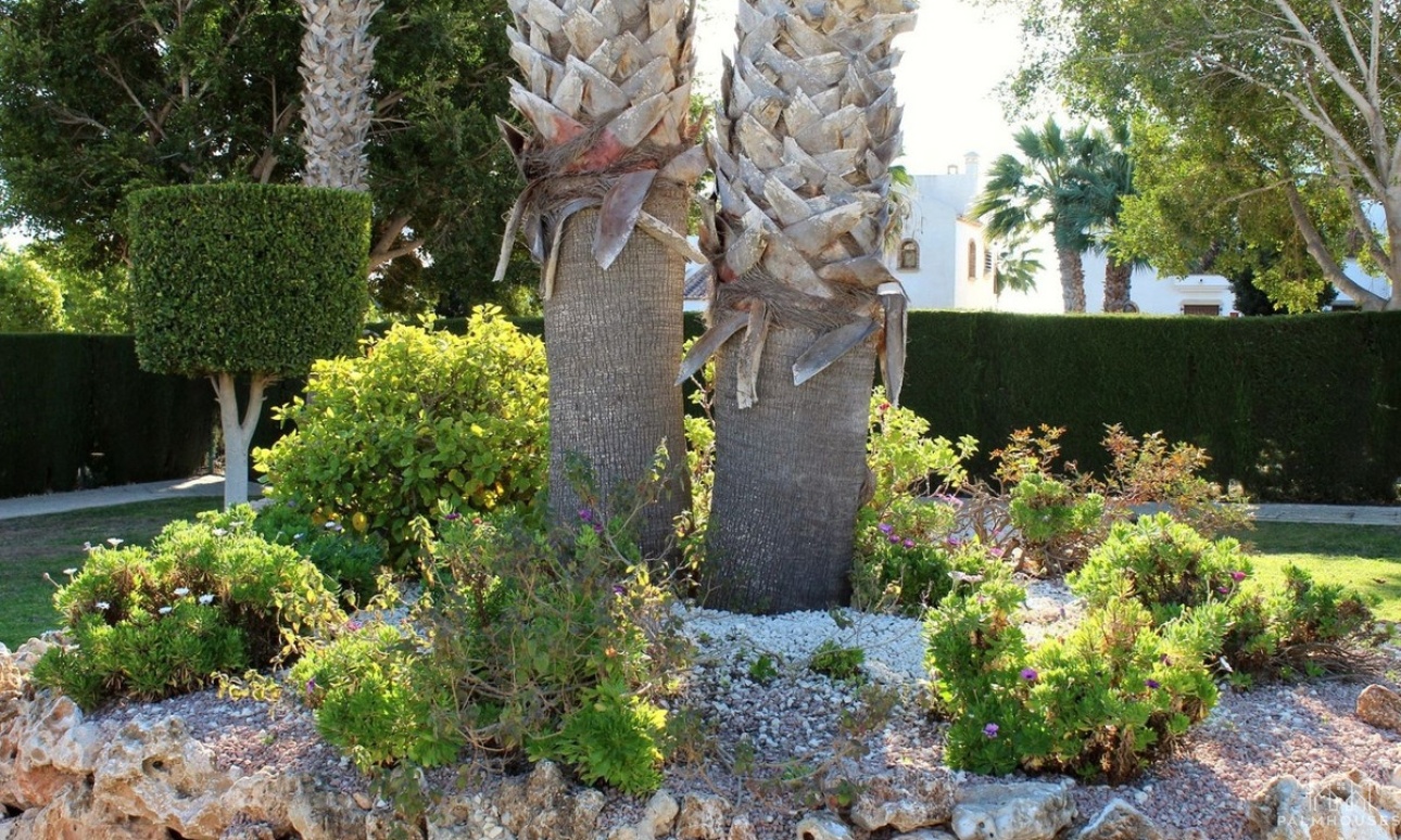 Resale - Apartments - Orihuela - Villamartin