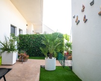 Resale - Apartments - Pilar de La Horadada - Pilar de la Horadada Centro