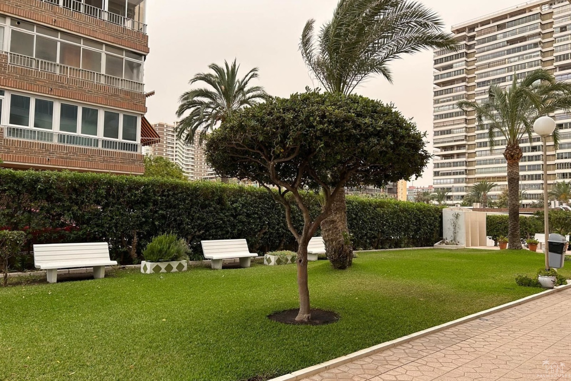 Resale - Apartments - San Juan de Alicante - Playa de San Juan