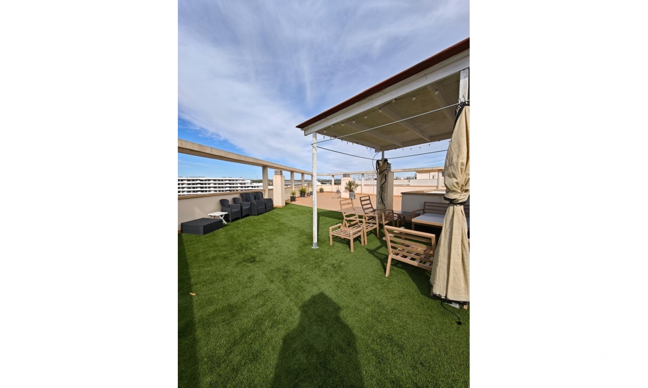 Resale - Apartments - San Miguel de Salinas - San Miguel