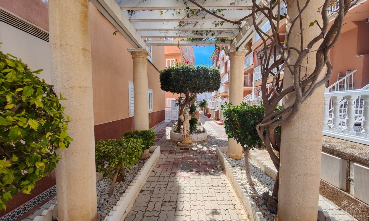Resale - Apartments - Torrevieja - Costa Blanca
