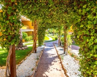 Resale - Apartments - Torrevieja - Costa Blanca