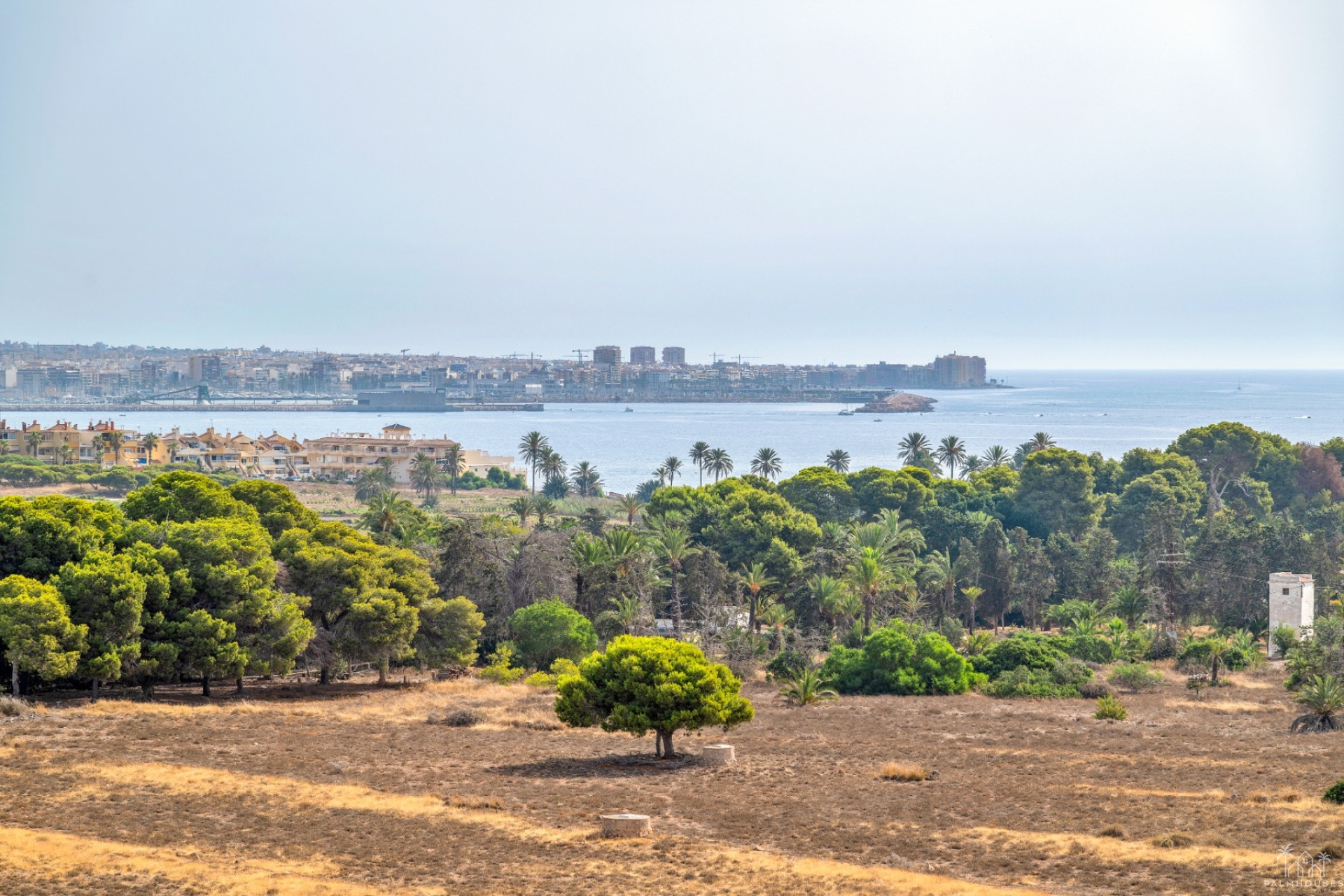Resale - Apartments - Torrevieja - Costa Blanca