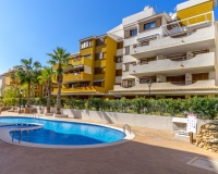 Resale - Apartments - Torrevieja - Costa Blanca