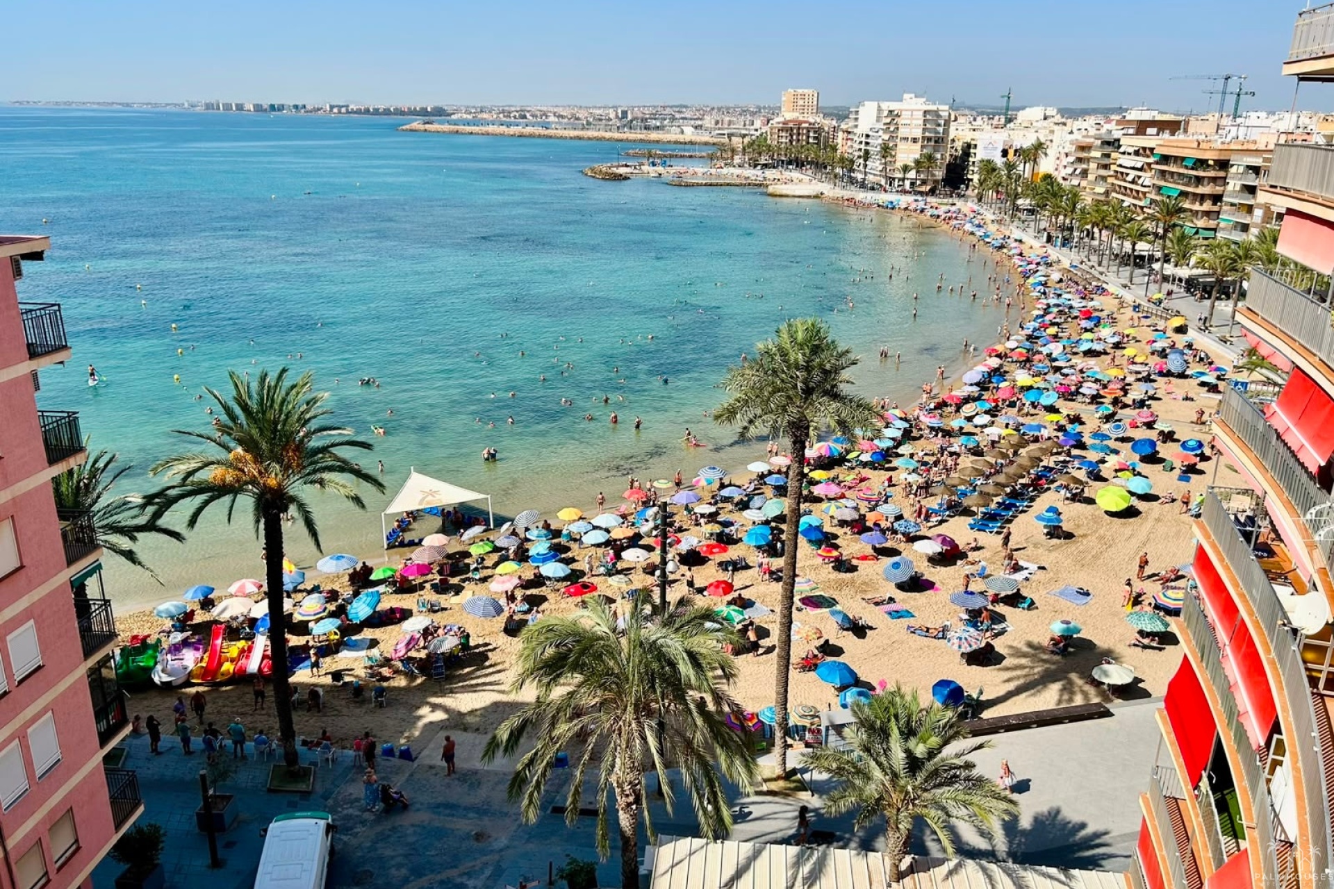 Resale - Apartments - Torrevieja - Costa Blanca