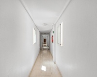 Resale - Apartments - Torrevieja - Estacion de autobuses
